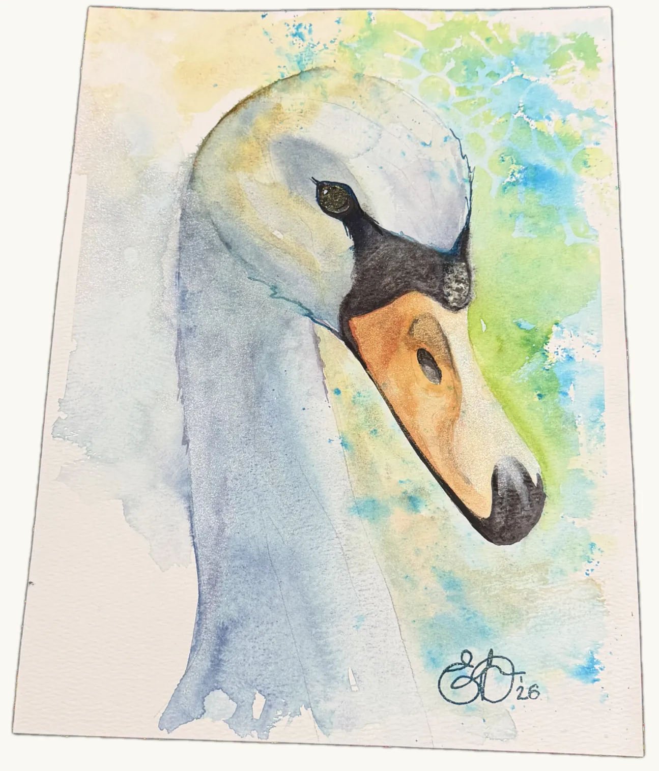 Cygnet — Watercolour by Elena Doljenkova