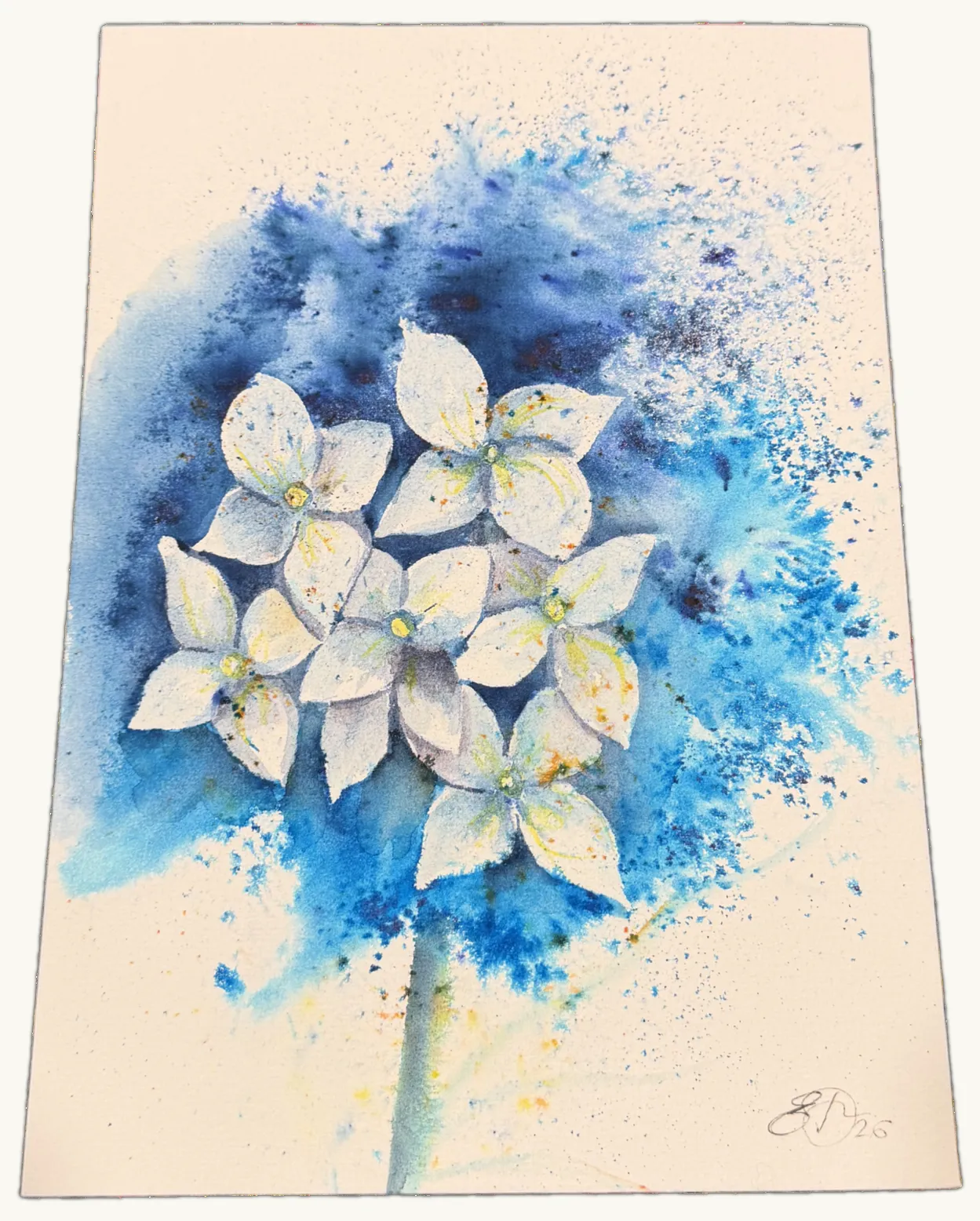 Hydrangea, Blue — Watercolour by Elena Doljenkova